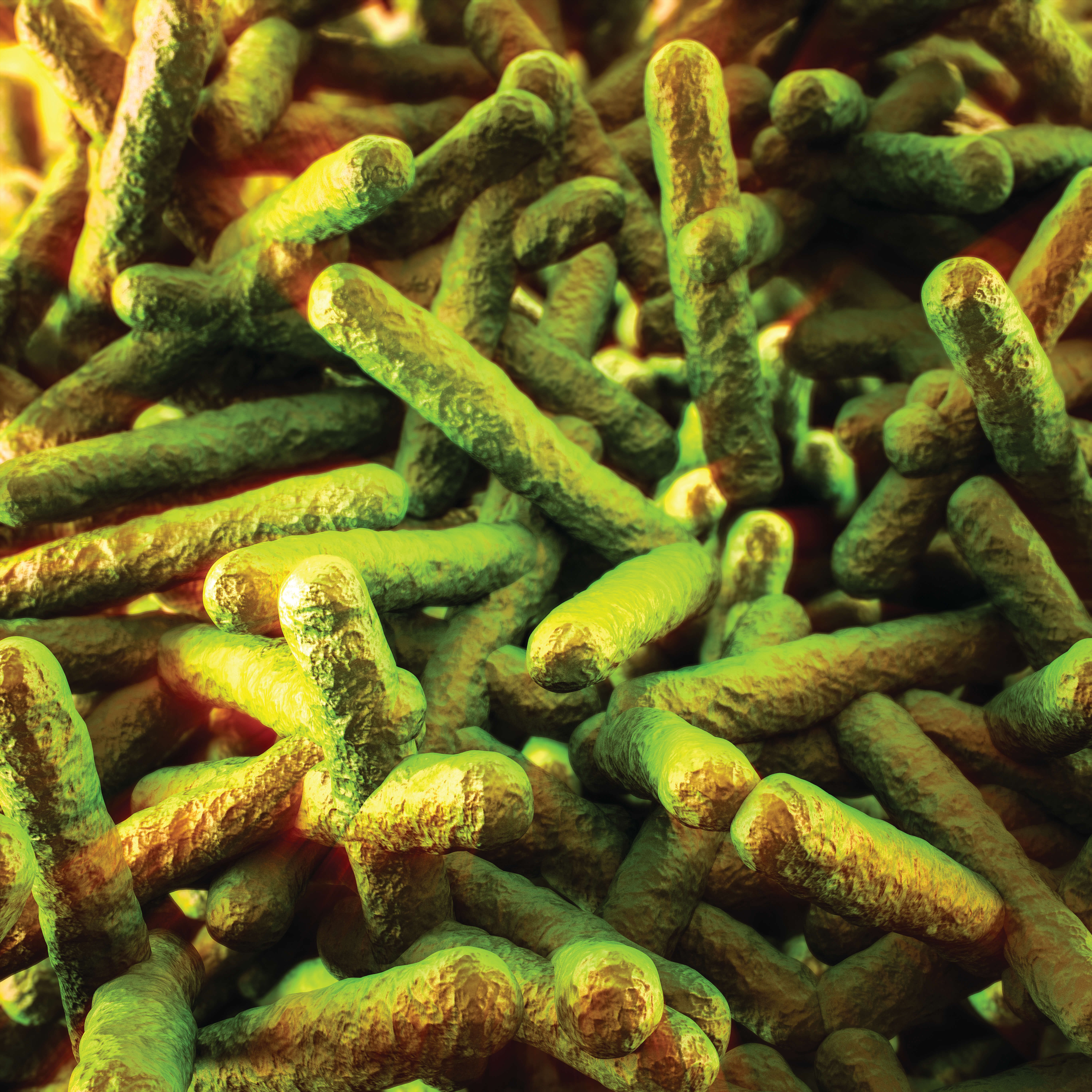 listeria-infection-symptoms-how-to-heal